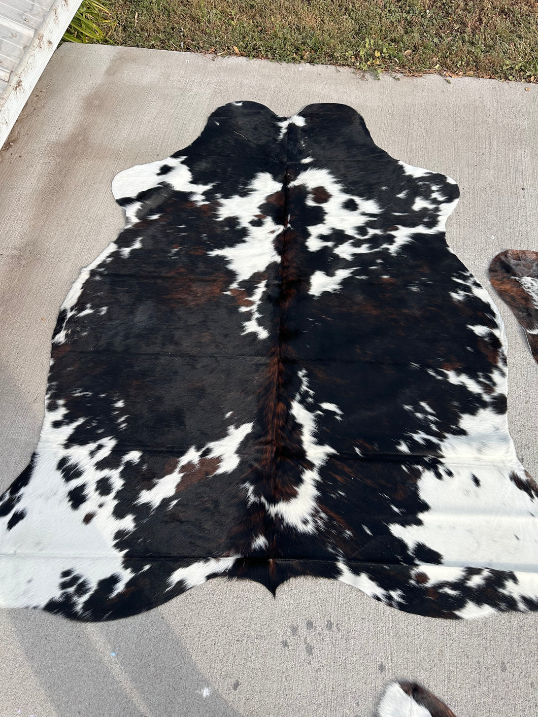 Cowhide Rug