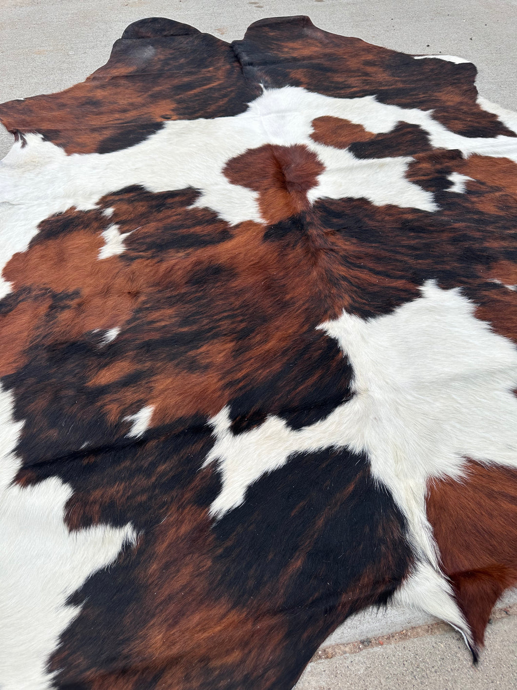 Cowhide Rug