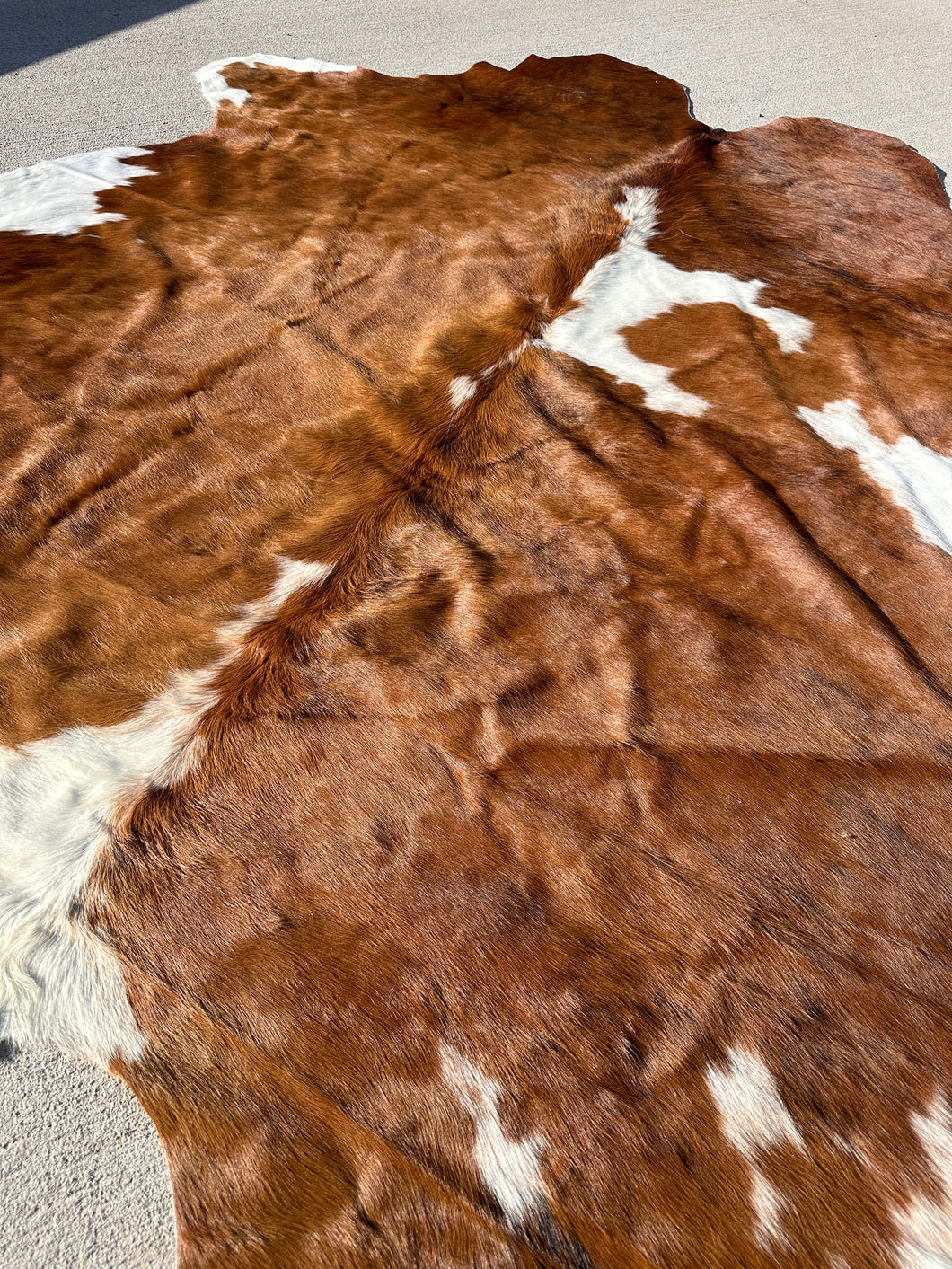 Cowhide Rug