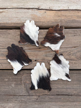 Load image into Gallery viewer, Cowhide Coasters
